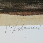 Seppo Polameri "Varrella virran" - pikkukuva 4