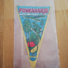 PUNKAHARJU VIIRI - pikkukuva 1