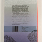 Thomas Bernhard : Häiriö - pikkukuva 2
