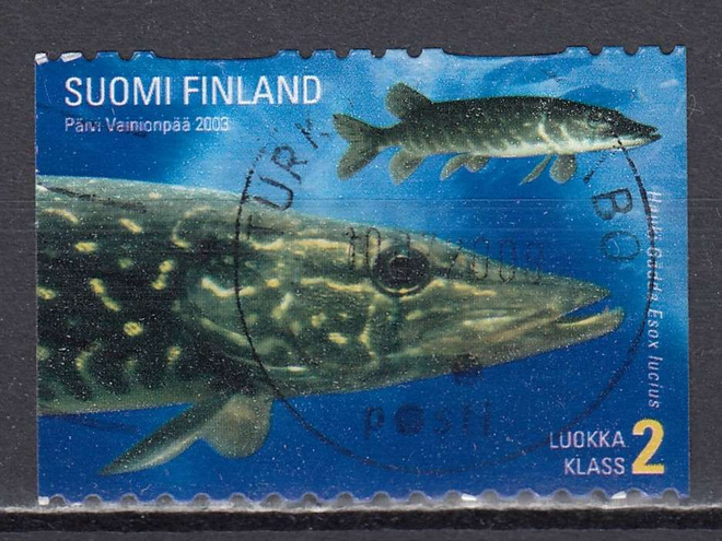2003 Lape 1635 Maakuntakalat: Hauki