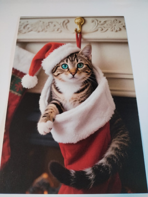 Kissa joulu kortti,kulkematon.