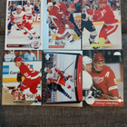 Sergei Fedorov x 12kpl / Detroit Red Wings - pikkukuva 1