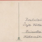 Poika Vesanto Tipu, pajunkissat ym - pikkukuva 2