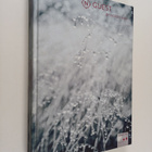Guest iceland - pikkukuva 1