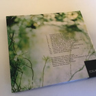 Toni Edelmann . Hän jota rakastin CD - pikkukuva 2
