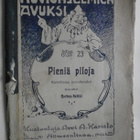 Heikki Korhonen: Huviohjelmien avuksi, No 23. Pieniä piloja - pikkukuva 1