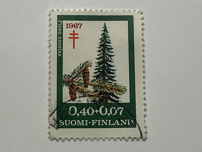 625 / 1967 Puulajeja - Kuusi o leimattu