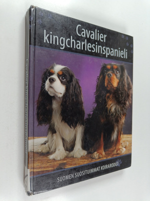 Cavalier kingcharlesinspanieli ja king charlesinspanieli