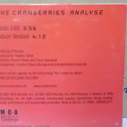 THE CRANBERRIES - ANALYSE CDS - pikkukuva 2
