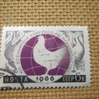 CCCP 1966: kansainväliset tieteelliset konferenssit - pikkukuva 3