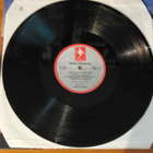 Russ Tolman:Down in Earthquake Town.LP - pikkukuva 3
