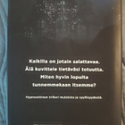 E. O. Chirovici: Pahaa verta - pikkukuva 2