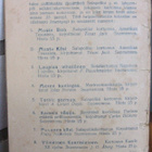 Lodbrok: Saarnaajan viekkautta, Andersin 1913. 2p. 32 s. - pikkukuva 2