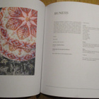 Fair Isle Weekend (suom.) MARY JANE MUCKLESTONE * LAINE PUBL - pikkukuva 4