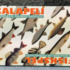 Kalapeli muistipeli Suomen kaloista - pikkukuva 1