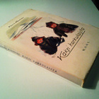 Hänninen Kaarlo: Kaksi karkulaista, v. 1927 - pikkukuva 2