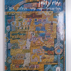 Nahum Gutman : City of sand and sea = Une cite de sable e... - pikkukuva 2