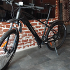 Fitnord ranger 300 sähköpyörä - pikkukuva 2