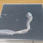Tenhi Maaäet LP - pikkukuva 1
