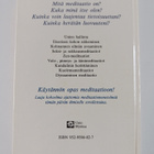 Osho : Meditaatio : ainoa tie vapauteen : käytännön opas ... - pikkukuva 2