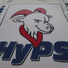 Viiri Hyps, Hyvinkää - pikkukuva 4