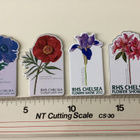 Chelsea Flower Show jääkaappimagneetti 4 kpl - pikkukuva 2