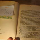 Donald E. Westlake: Teurastajan kuu, pokkari - pikkukuva 4