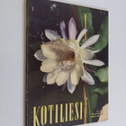 Kotiliesi 6/1959 (maaliskuu II) - pikkukuva 1