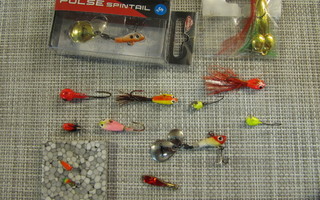 Pulse Spintail uistimia ja morreja.