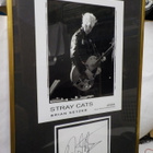 STRAY CATS TAULU BRIAN SETZERIN NIMMARILLA - pikkukuva 1