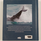 Megan Whittaker : The Wonders of Whale Watching in Icelan... - pikkukuva 2