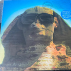 KISS: Hot in the Shade LP Vertigo 1989 - pikkukuva 1