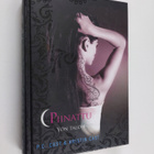 Kristin Cast ym. : Piinattu - pikkukuva 1