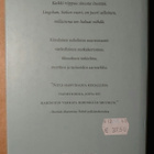 Gao Xingjian - Sielun Vuori - pikkukuva 2