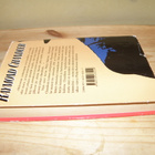 Raymond Chandler Vuosien varjo (sidottu) - pikkukuva 2