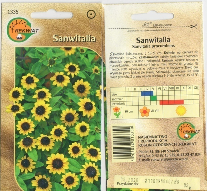 Huovinkukka , Sanwitalia siemenet #