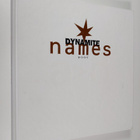 Marjaana Virta : Dynamite names - pikkukuva 1