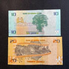 Bank of Sierra Leone NEW 2022 - pikkukuva 2