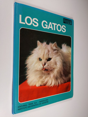 Adriano Torregrosa : Los Gatos