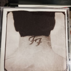 Foo fighters levyt - pikkukuva 2