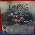 Graveland - Will Stronger Than Death UUSI LP - pikkukuva 2