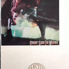 Stevie Ray Vaughan Double Trouble limited-edition gold disc - pikkukuva 2