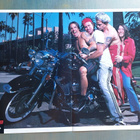 Red Hot Chili Peppers / System Of A Down - posteri - pikkukuva 1
