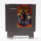 Shadow Warriors - NES - pikkukuva 1