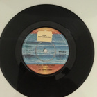 (7") The Boone Family - Please Mr. Postman - pikkukuva 2