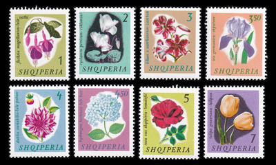 Albania 959-66 ** Kukat (1965)