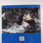 Fred Bruemmer : Seals in the Wild - pikkukuva 2