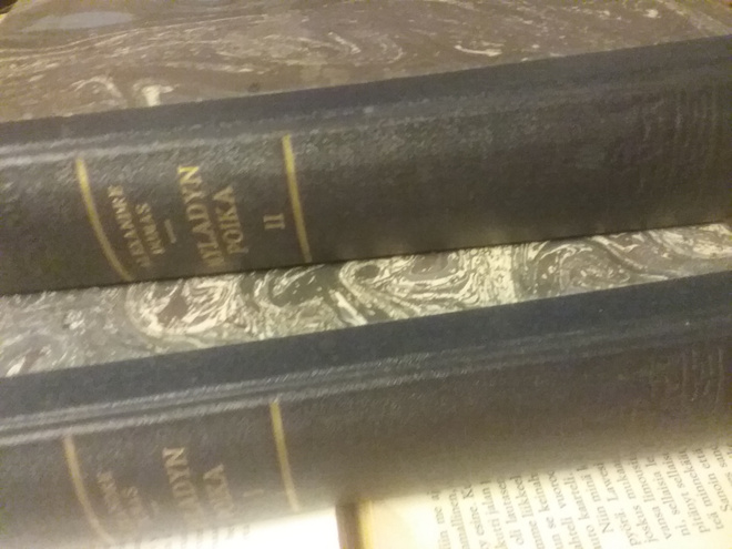 Alexandre Dumas - Myladyn poika I-II (sid.)