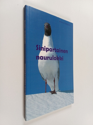 Raimo Suikkari : Sinipartainen naurulokki