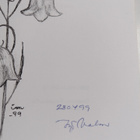 Irja Malm : Kukkaketo ja kivikko (signeerattu) - pikkukuva 2